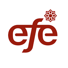 Partner entity